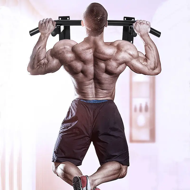 Pull Up Bar Door Mounted 1 Pull Up Bar Door Mounted